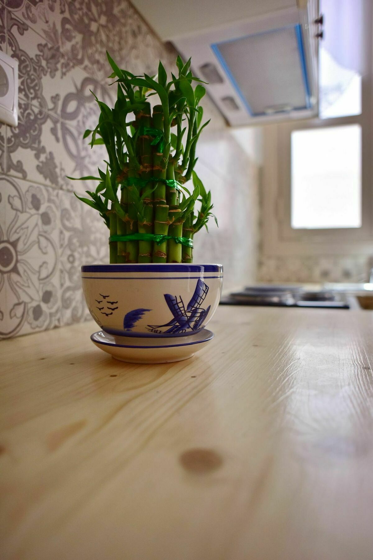 Villa Mariza 1920 Rhodes City Ngoại thất bức ảnh